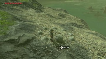 [DAY 454] of finding one korok seed everyday until Botw2 comes out