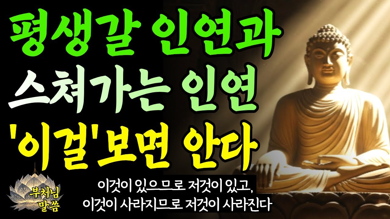 평생 인연과 잠깐 인연, 이 신호로 구분한다 / 놓아줄때를 알아야한다 / 부처님말씀 / 오디오북