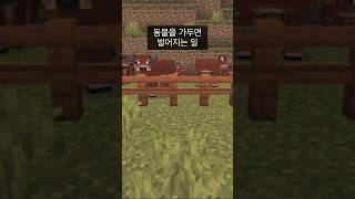야생에서 동물을 기를 때 공감 #마인크래프트 #마크 #minecraft #공감 #꿀팁 #쇼츠 #shorts
