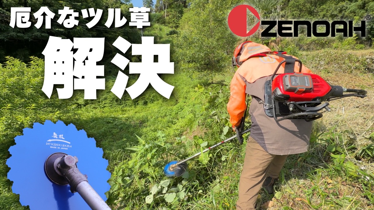 Struggling with Japanese Honeysuckle! Zenoah Battery-Powered