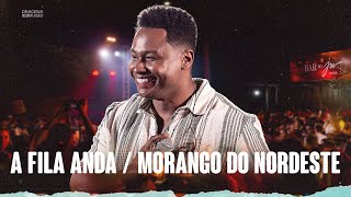 A Fila Anda / Morango do Nordeste - Júnior Marques - Sofrendo em Alto Nível 2