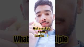 What are multiple alleles?