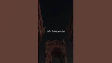 سورة الجاثية _ ياسر الدوسري