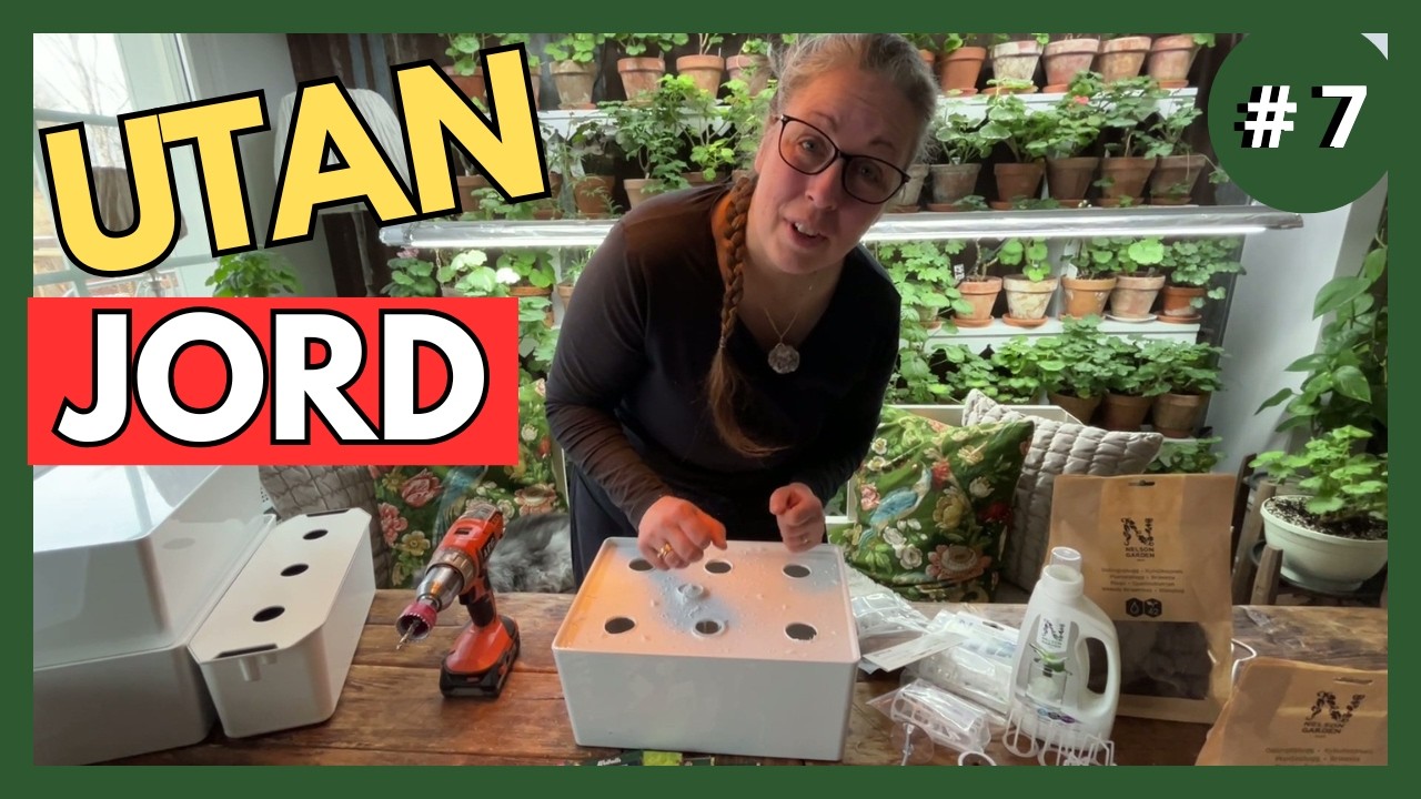 Hydroponisk odling Hemma – Odla UTAN jord i IKEA-lådor