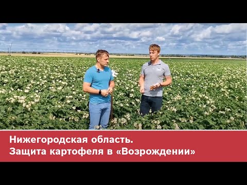 Нижегородская область. Защита