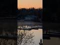 Muskoka Morning Magic 🌅 | Peaceful Sunrise Reflections #Muskoka #Sunrise #Nature #shorts