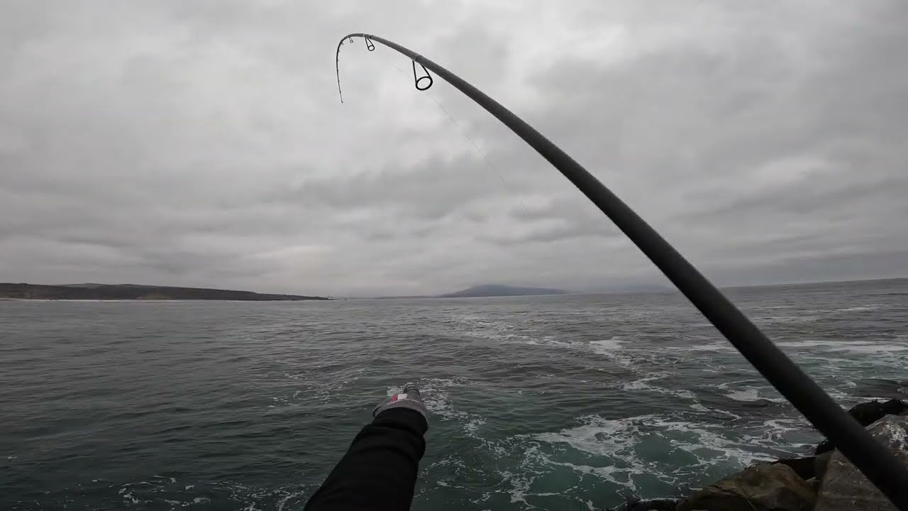 PALOMETAS A SPINNING LIGERO ¡¡QUE PIQUES!!
