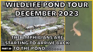 Wildlife Pond Build & How it Looks In December #backyard #wildlife #ponds