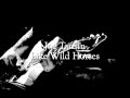 Joe Tansin- Like Wild Horses