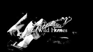 Joe Tansin- Like Wild Horses