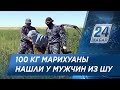 Двух мужчин со 100 кг марихуаны задержали в Жамбылской области