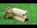 Hamster bed made with popsicle sticks and cardboard