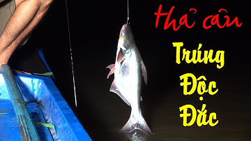 Thả câu CÁ TRA bằng chai nhựa ai ngờ TRÚNG ĐỘC ĐẮC, VÔ MÁNH | Fishing