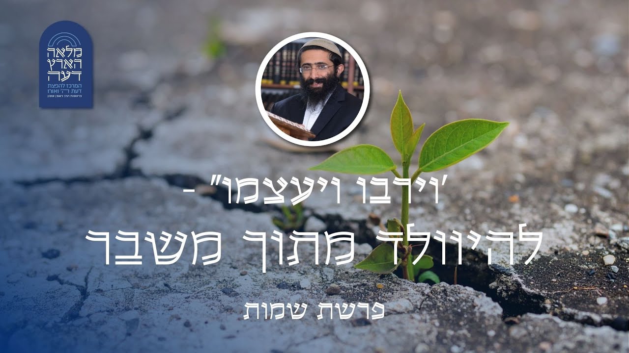 פרשת שמות • הרב ראובן ששון • 'וירבו ויעצמו' - להיוולד מתוך משבר