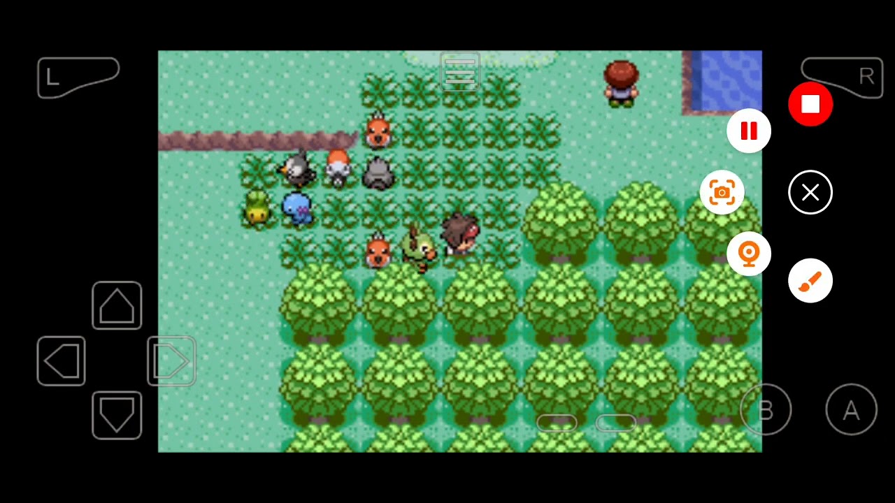 Nova série de Pokémon quetzal EP 1