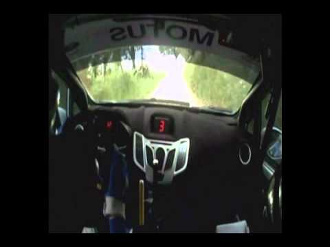 Luca Costantino - Rosario Siragusano - Rally Adriatico - Ford Fiesta R2.wmv