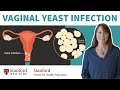 Vaginal yeast infection: Doctor explains causes, symptoms, & treatment | Stanford