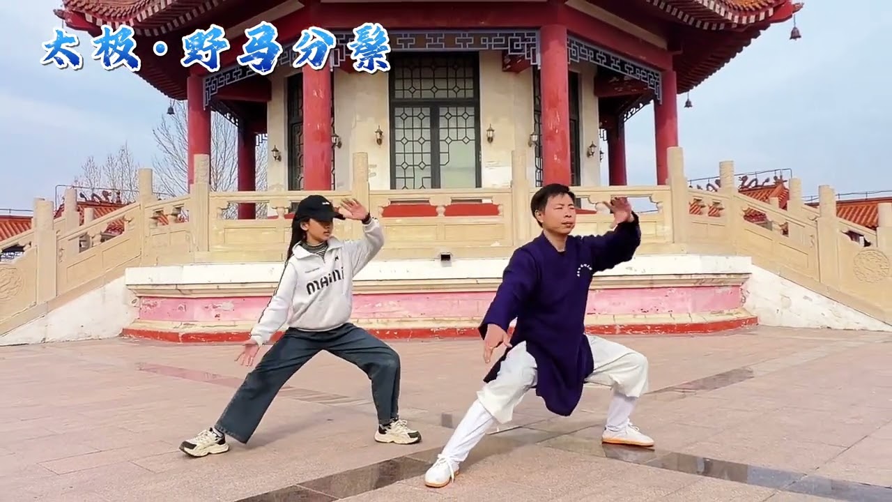 Master Tai Chi Now: Your Journey to Inner Peace