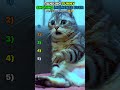 Ranking Funny Snoring Moments Ever #shorts #funny #sleep #funnyshorts