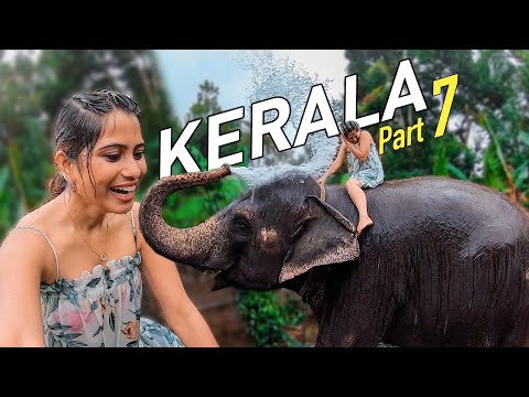 Thekkady Luxury Resort Stay -  Periyar Tiger Reserve - Elephant Shower - Kerala Tourism Part 7