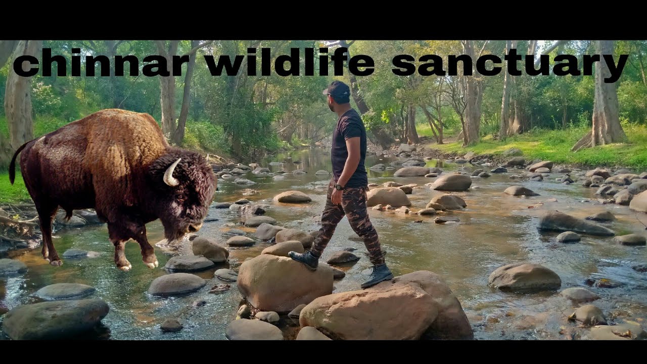 Chinnar Wildlife Sanctuary