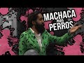 MACHACA PARA PERROS | CARLOS MUÑOZ