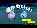 モクローとキャンプしたら可愛すぎた