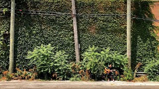 Watch Owen The Contours video