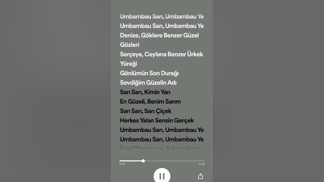 Mahsun Kırmızıgül ~ Sarı Sarı Speed Up #shorts