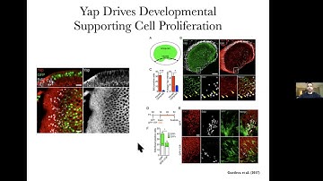 Nathaniel Kastan thesis talk