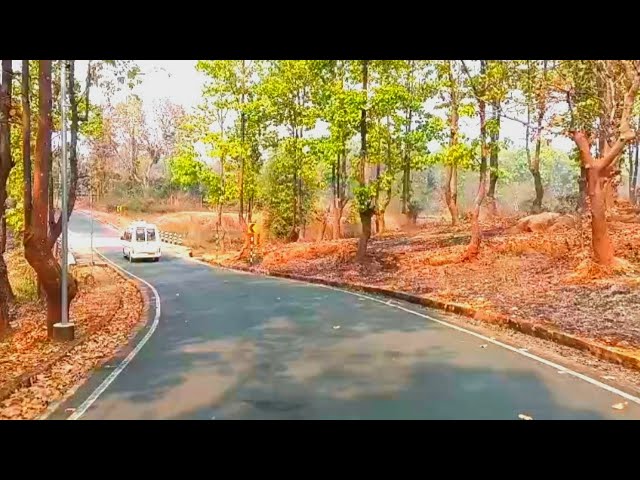 ঘুরতে যাওয়ার ব্লগ ভিডিও/Bangali Village Food Vlog/@villfood