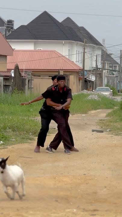 Police and GOAT #dance