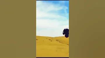 الكبير وصل يارجال 