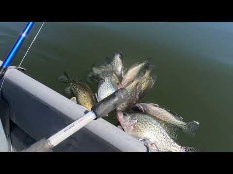 Crappie fishing Lake Isabella
