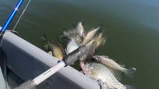 Crappie fishing Lake Isabella