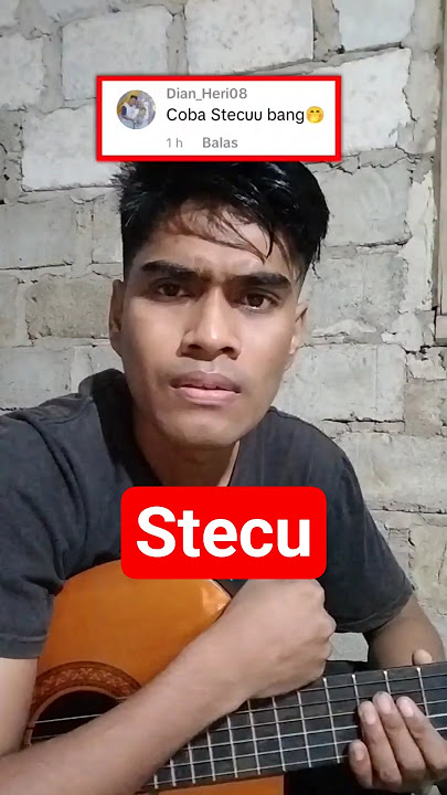 Stecu versi fingerstyle guitar cover #shorts