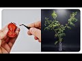 103 days in 94 seconds | Tomato Time-lapse