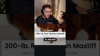 Hasan exposed? 💀