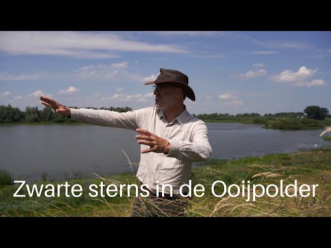 Video: Verschil Tussen Landplanten En Waterplanten