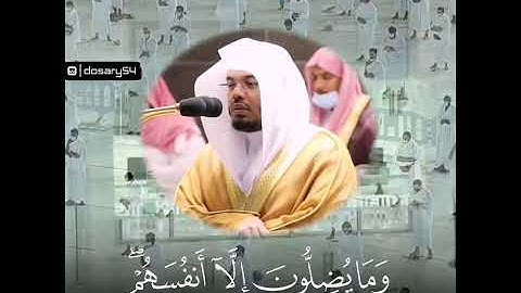 القارئ ياسر الدوسري  | ارح سمعك.. تلاوة هادئة تريح القلب والعقل💙🎧