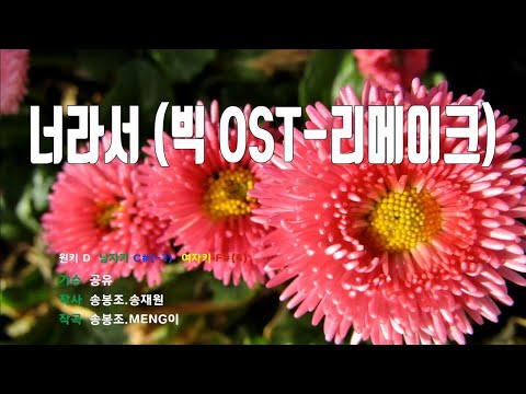 [은성 반주기] 너라서(빅OST-리메이크) - 공유