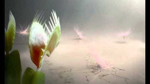 Caesarstone By Hafele