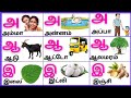 அஆஇஈ/உயிரெழுத்துக்கள்/Uyireluthukkal/Tamil Alphabets for kids @PEEKABOO-ff8wq #uyireluthukkal 
