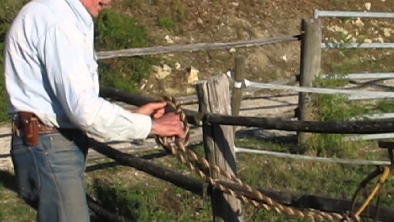 Come tenere le pulci e zecche lontano da casa