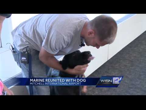 Video: Pet Scoop: Ex-Marine herenigt met Canine Partner, groep maakt 