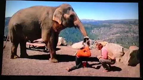 Matthew McConaughey gone crazy