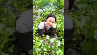 🤔 What Did She Find in the Swamp? #china