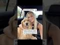 these 5 dog mom habits made everything easier 😉#BetterWild #ad #dogallergies #dogmom #dog