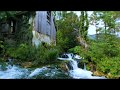 House at the waterfall / VR180 3D Visual Nature Relax & Stress Reduction Meditation / 4K