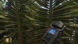 Bo2 Raid Tree glitch Trickshot!